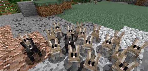 What Do Rabbits Eat In Minecraft